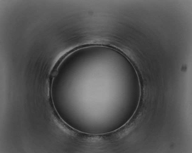 X0000093490838200710191225