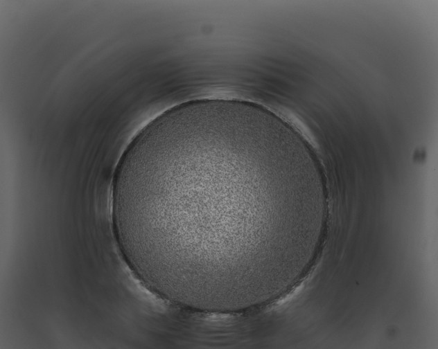 X0000093490839200710191225