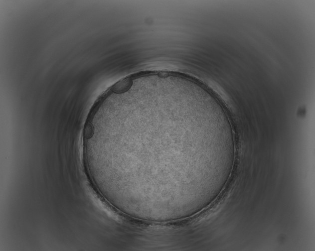 X0000093490840200710191225