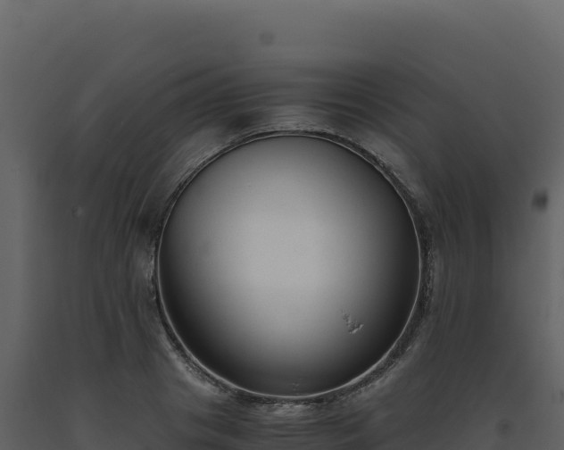 X0000093490841200710191225