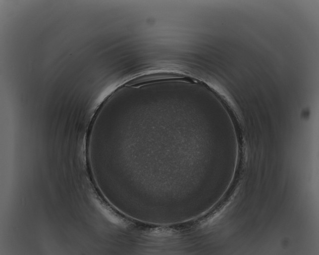 X0000093490842200710191225