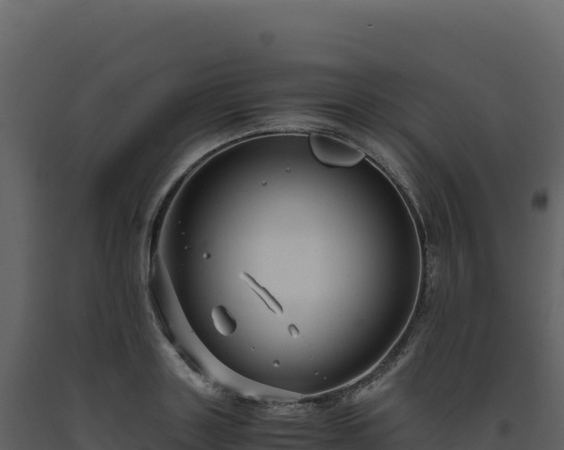 X0000093490843200710191225