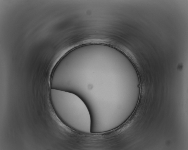 X0000093490844200710191225