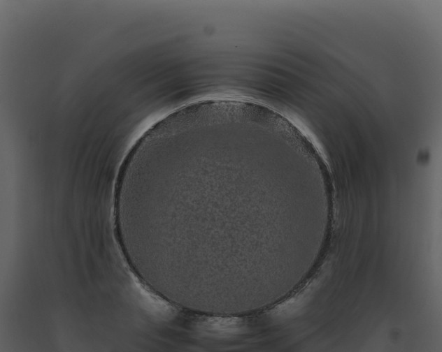 X0000093490845200710191225