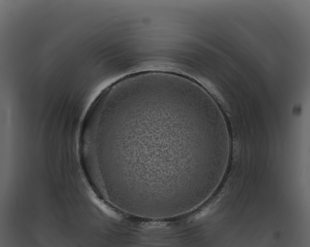 X0000093490846200710191225