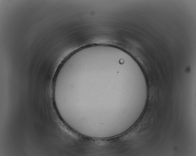 X0000093490848200710191225