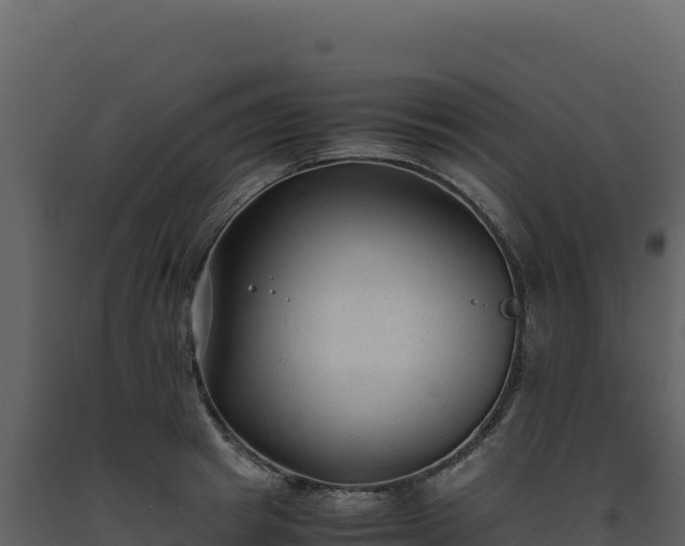 X0000093490849200710191225