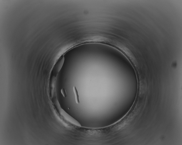 X0000093490850200710191225