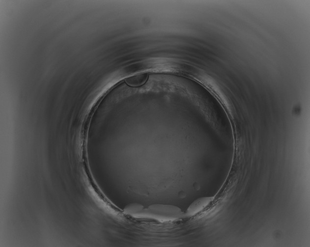 X0000093490851200710191225