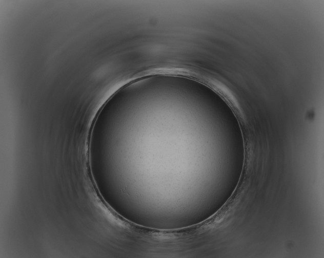 X0000093490852200710191225