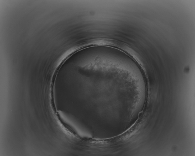 X0000093490853200710191225