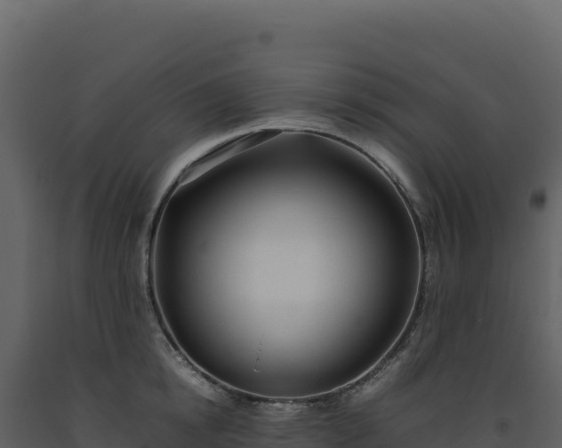 X0000093490854200710191225