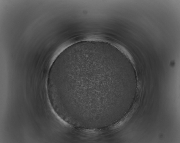 X0000093490855200710191225