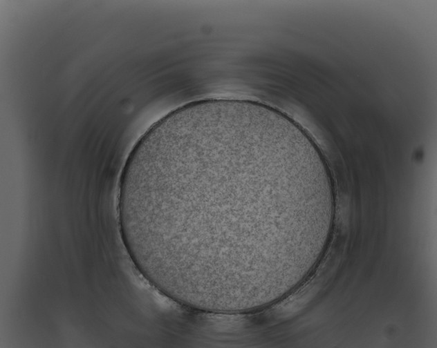 X0000093490856200710191225