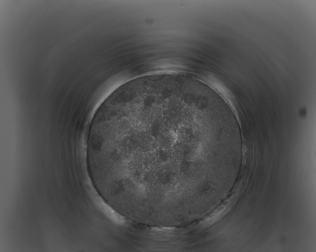 X0000093490859200710191226