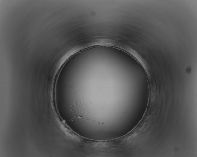 X0000093490861200710191226