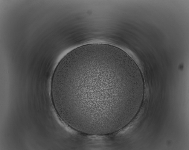 X0000093490862200710191226