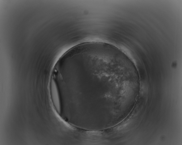 X0000093490863200710191226