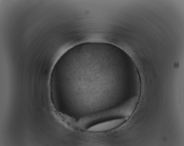 X0000093490864200710191226