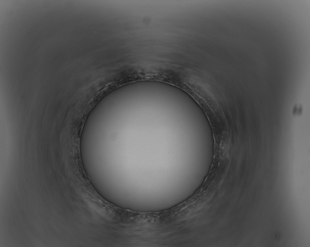 X0000093490865200710191225