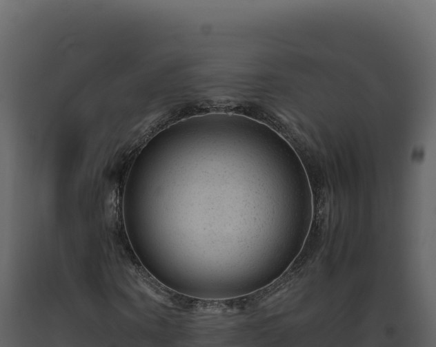 X0000093490866200710191225