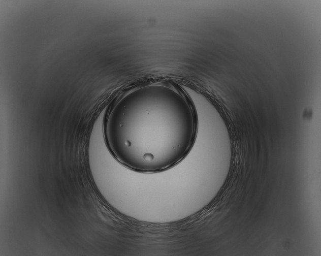 X0000093490868200710191225