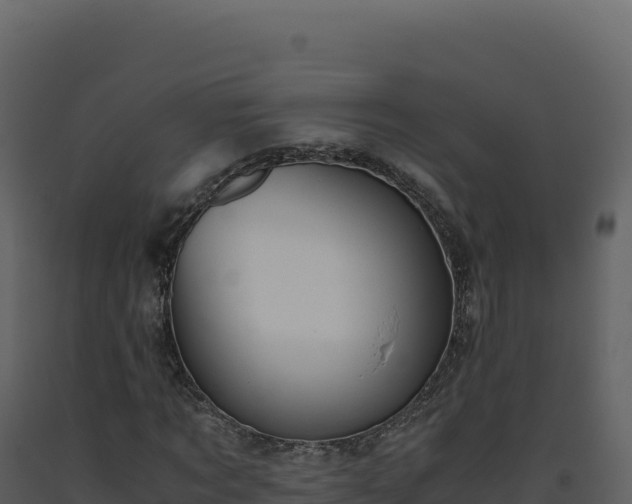 X0000093490869200710191225