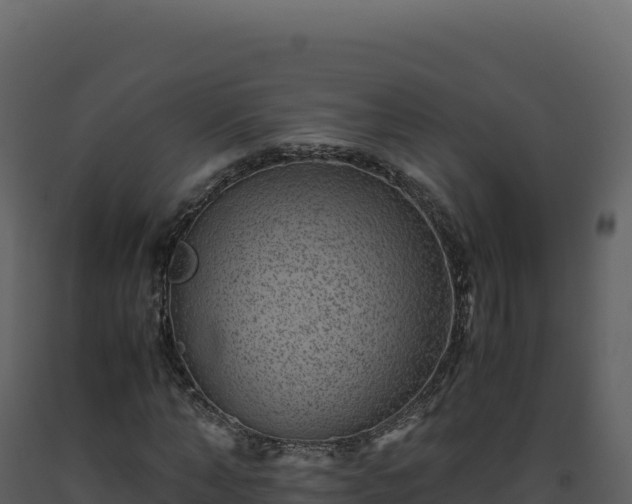 X0000093490870200710191225