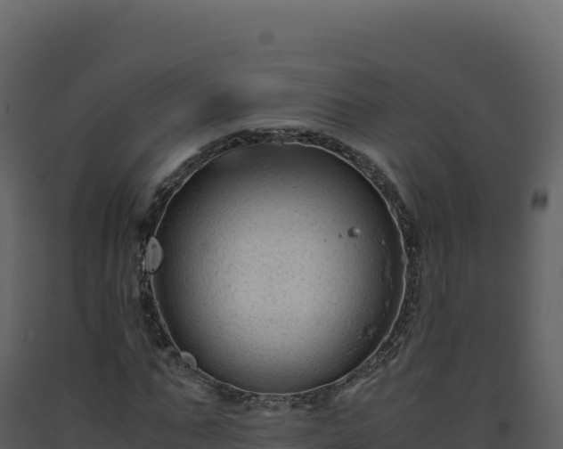 X0000093490871200710191225