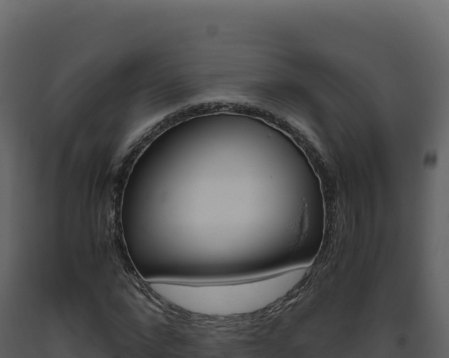 X0000093490872200710191225