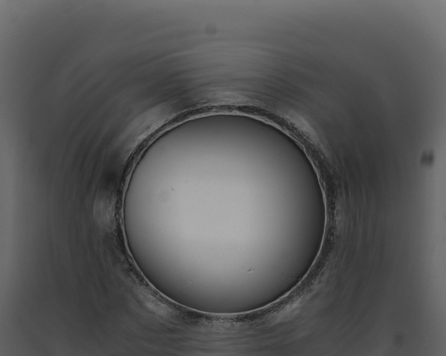 X0000093490873200710191225