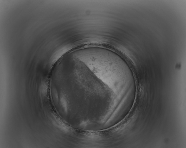 X0000093490874200710191225