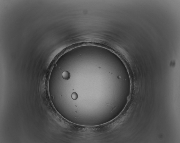 X0000093490875200710191225