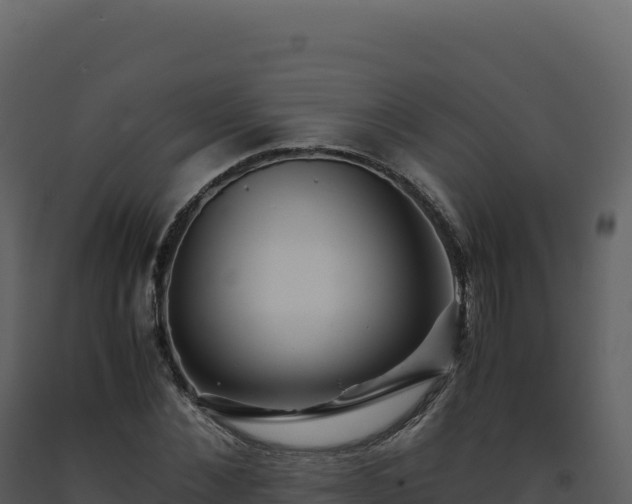 X0000093490876200710191225