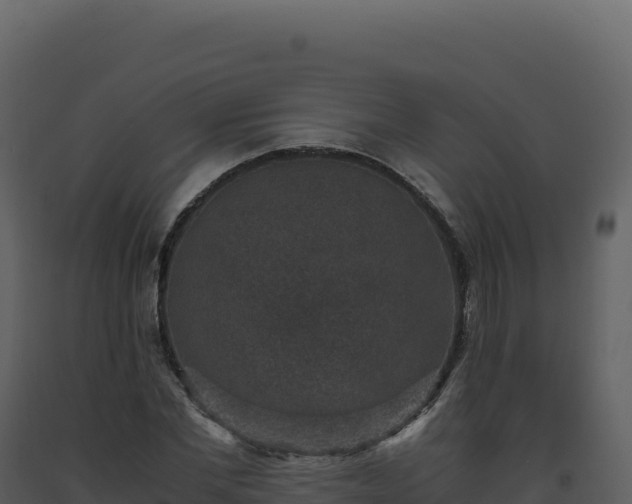 X0000093490877200710191225