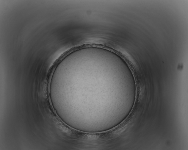 X0000093490878200710191225