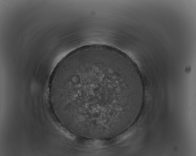 X0000093490879200710191225