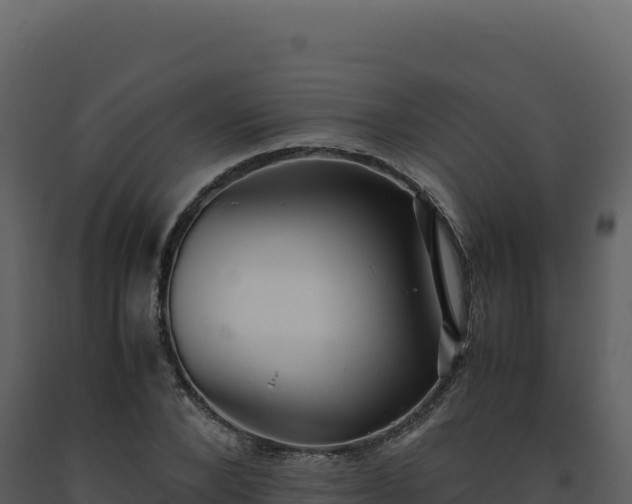 X0000093490880200710191225