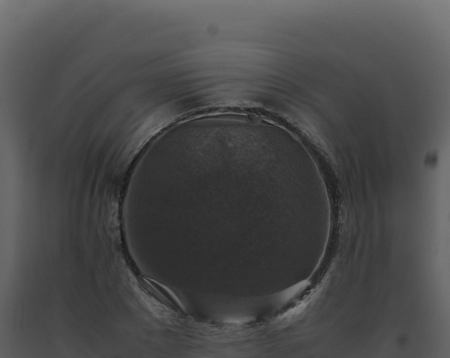 X0000093490881200710191225