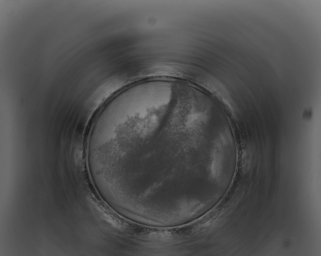 X0000093490882200710191225