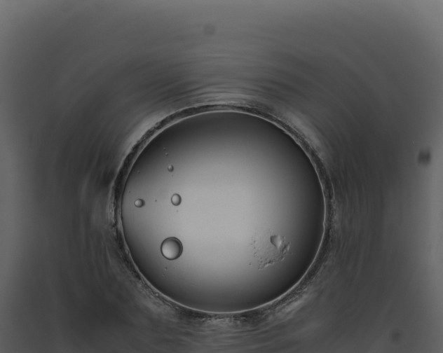 X0000093490883200710191225