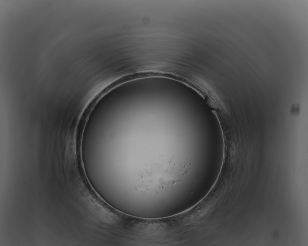 X0000093490884200710191225