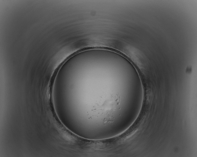 X0000093490885200710191225