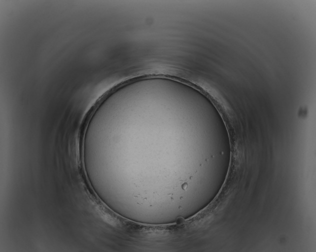 X0000093490886200710191225