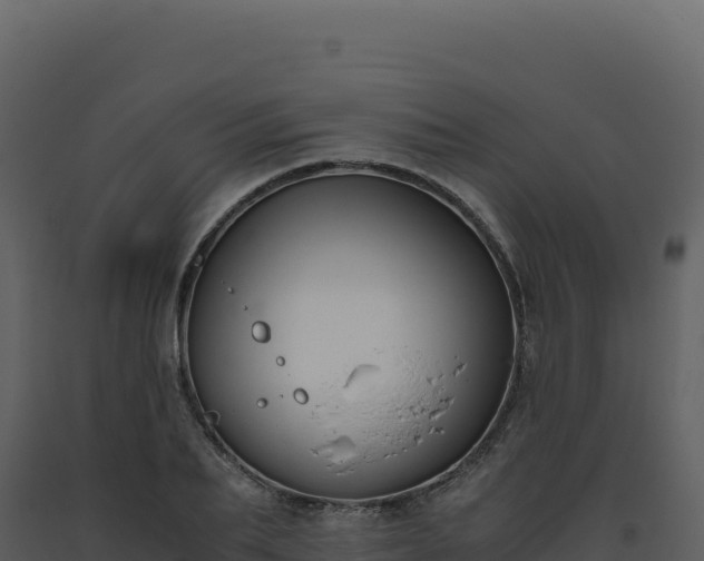 X0000093490887200710191225