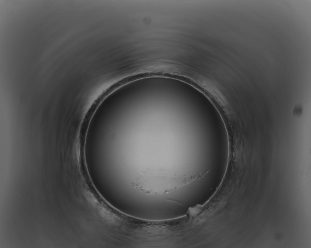 X0000093490888200710191225