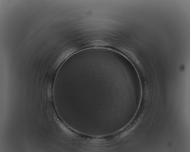 X0000093490889200710191225