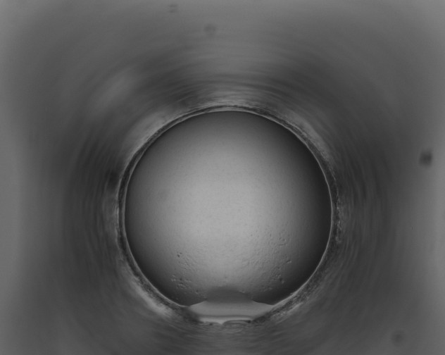 X0000093490890200710191225