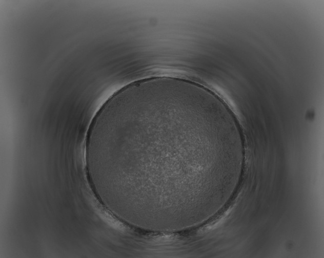 X0000093490891200710191225