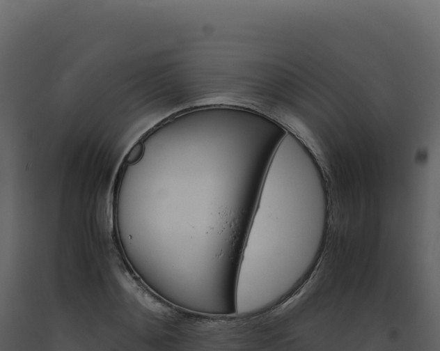 X0000093490892200710191225